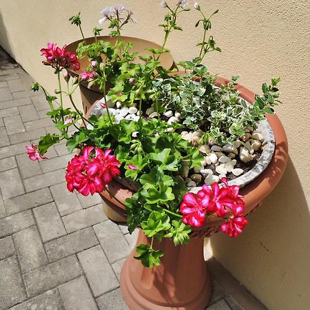 Ferienwohnung Goethe Verbandsgemeinde Verbandsgemeinde Bernkastel-Kues Buitenkant foto