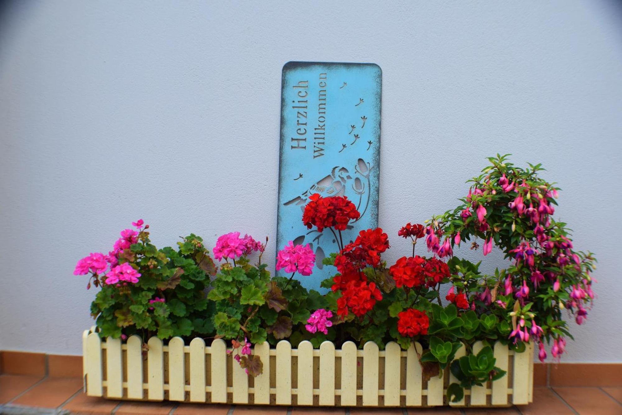 Ferienwohnung Goethe Verbandsgemeinde Verbandsgemeinde Bernkastel-Kues Buitenkant foto